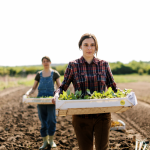 Introduction to Regenerative Agriculture