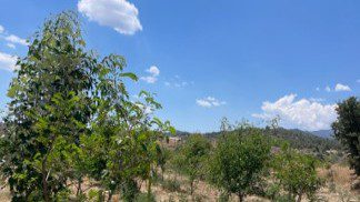 <trp-post-container data-trp-post-id='3055'>EARTH travels to Cyprus: moving towards more sustainable agriculture</trp-post-container>